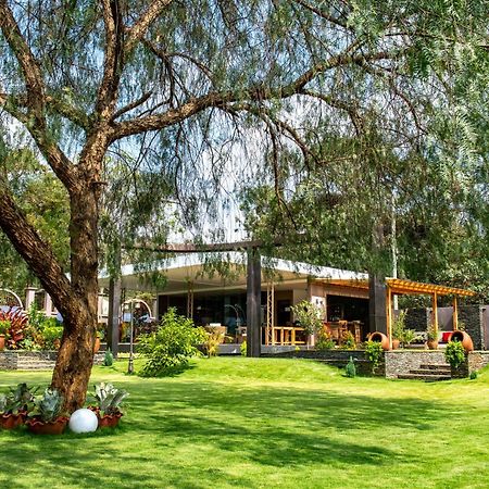 Kinga Homes Boutique Hotel موشي المظهر الخارجي الصورة