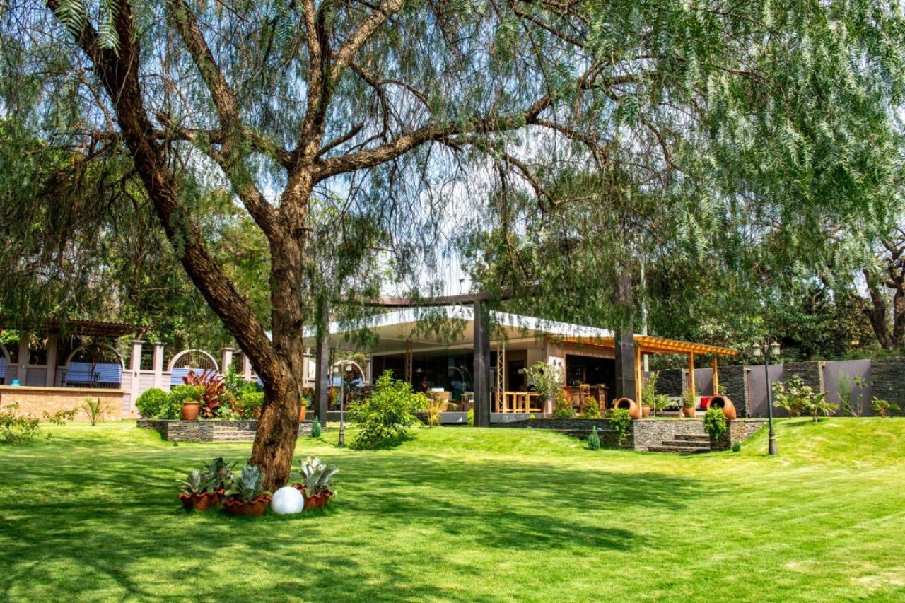 Kinga Homes Boutique Hotel موشي المظهر الخارجي الصورة